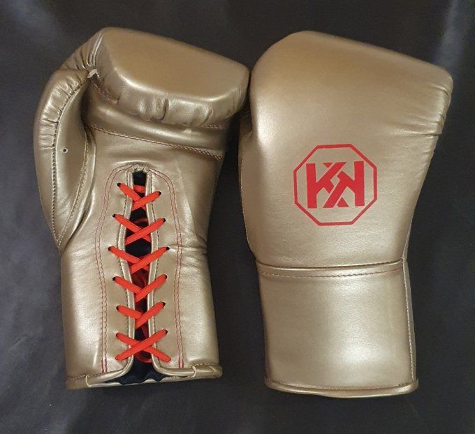 Rockkick Boxing gloves