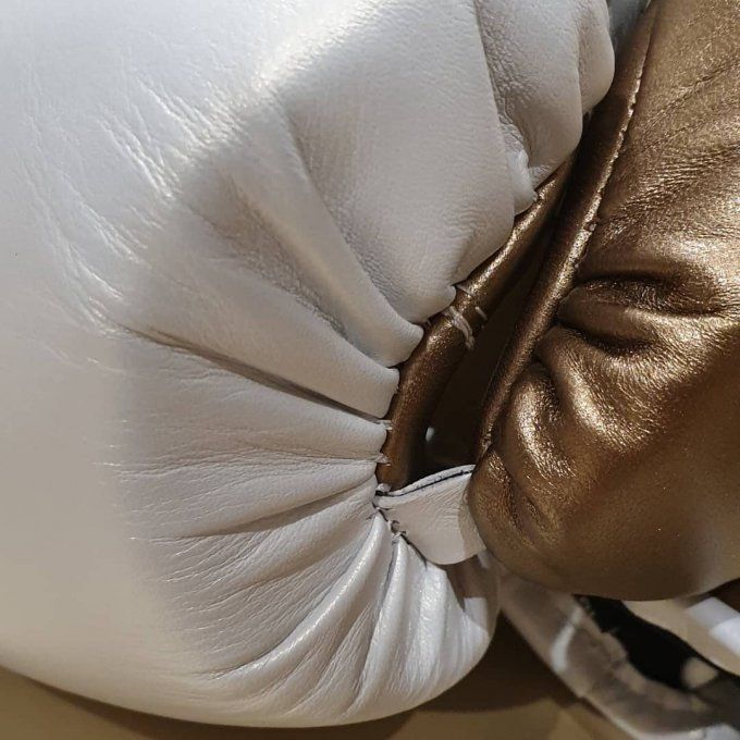 Rockkick boxing gloves - gants de boxe