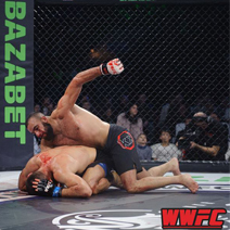 qu'est ce que le MMA