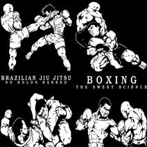 Quel sport pour MMA